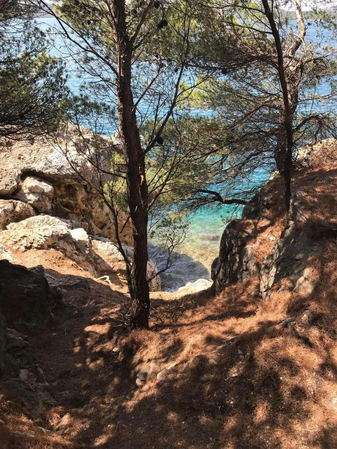 Apartman As Pirovac Dış mekan fotoğraf