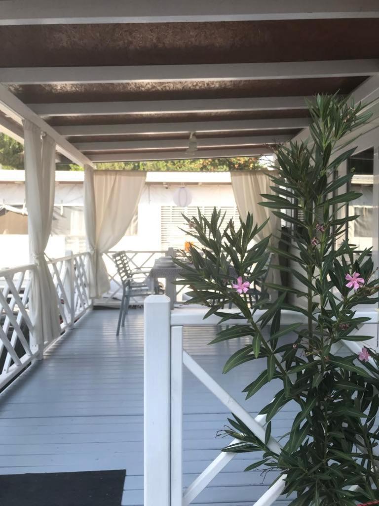 Apartman As Pirovac Dış mekan fotoğraf